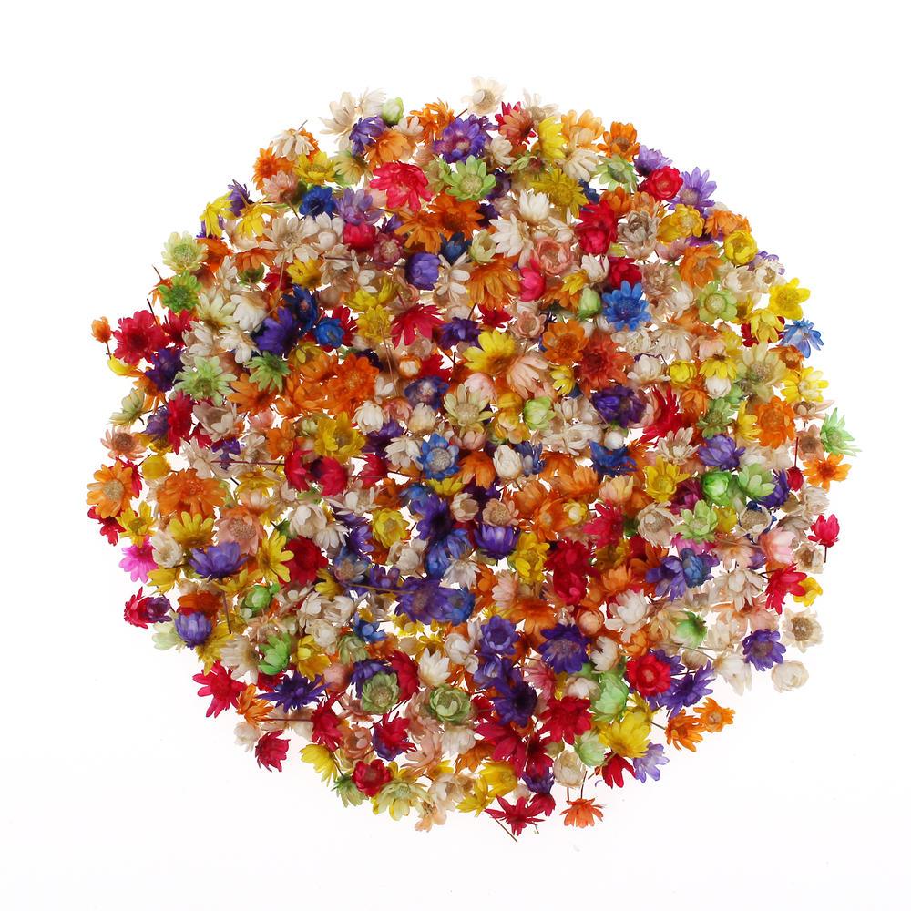 200pcs Bag Dried Flowers - Epoxynoob