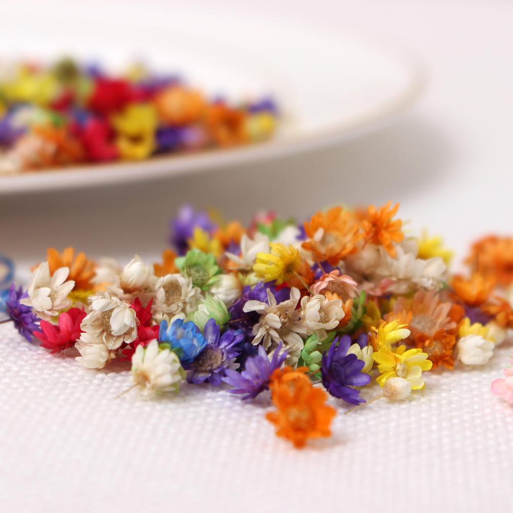 200pcs Bag Dried Flowers - Epoxynoob