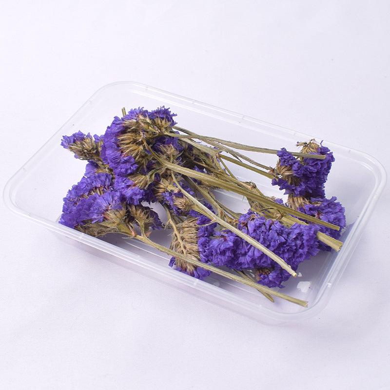 Box Of Dried Flowers - Epoxynoob