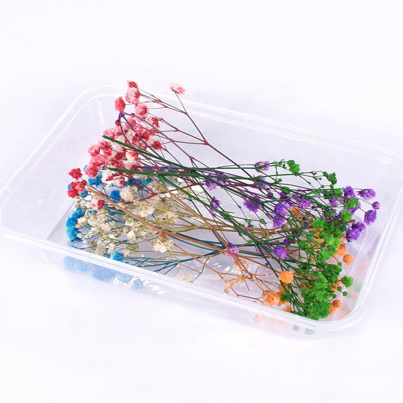 Box Of Dried Flowers - Epoxynoob