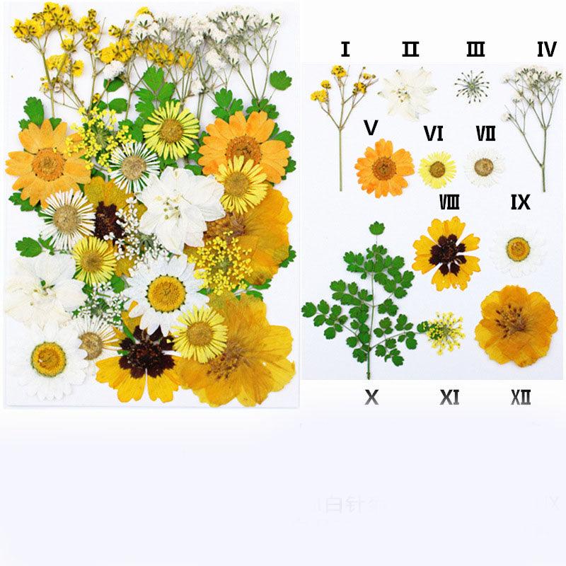 Pack Of Dried Flowers - Epoxynoob