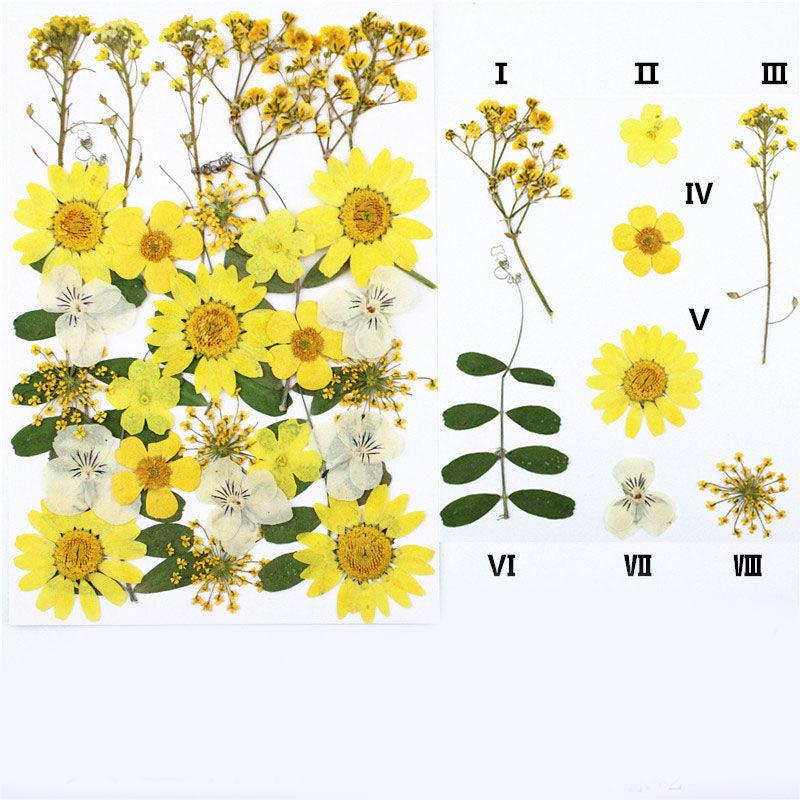 Pack Of Dried Flowers - Epoxynoob